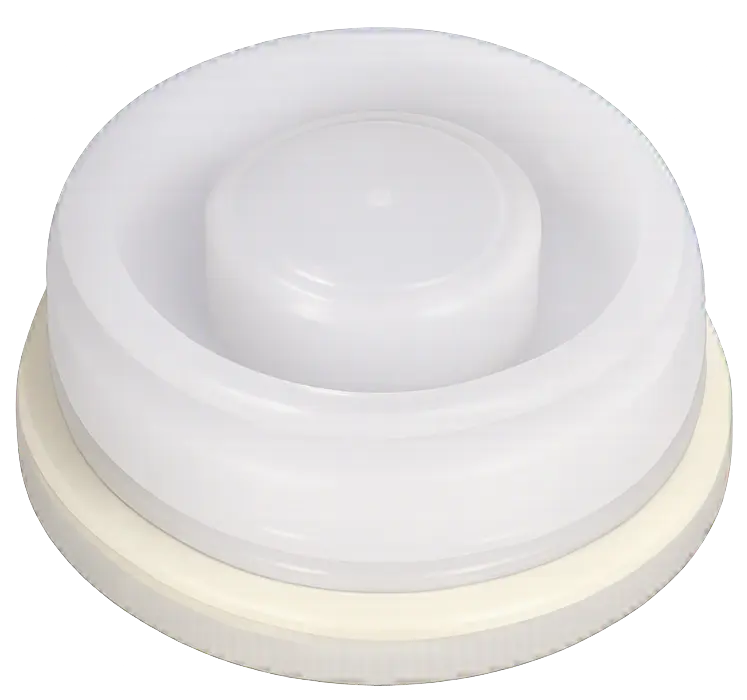 Bung Back.webp