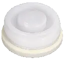 Bung Back.webp