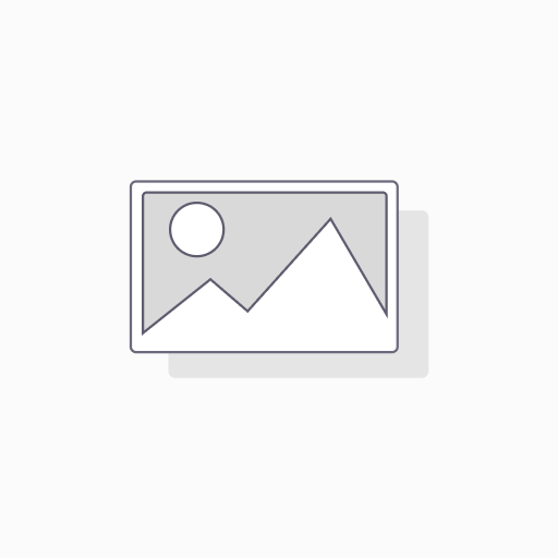 RV221-Aldridge 200mm Plastic Visors (Matt Finish)